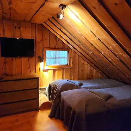 Ahmanpesae Visit Levi