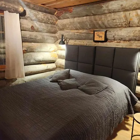 Ahmanpesae Visit Levi