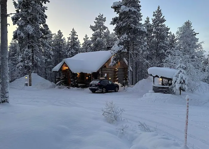 Ahmanpesae Visit Levi