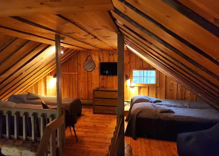 Daire Ahmanpesae Visit