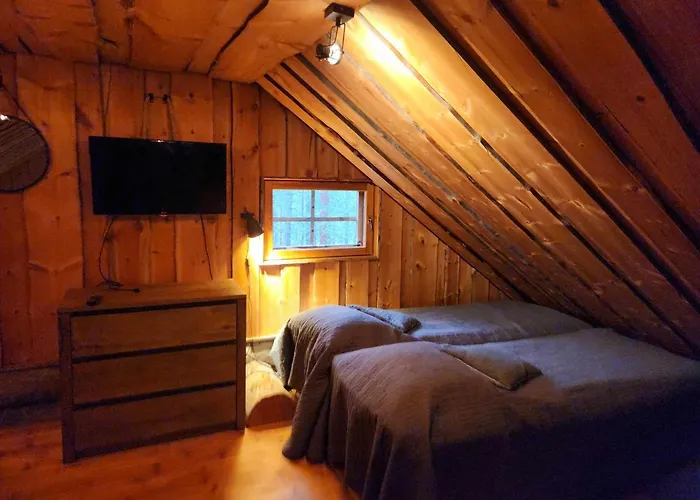 Ahmanpesae Visit Levi