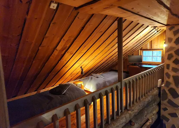 Daire Ahmanpesae Visit