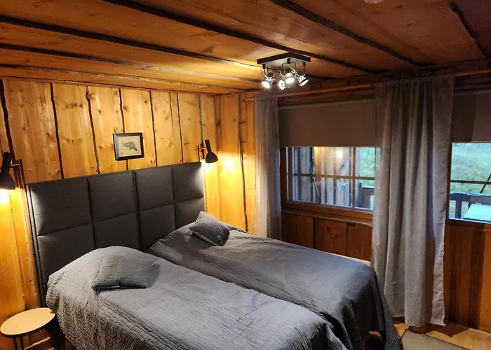 Ahmanpesae Visit * Levi