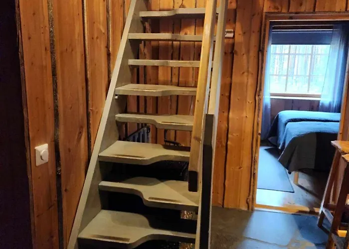 Ahmanpesae Visit Daire Levi