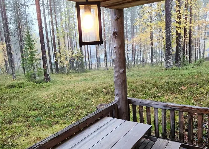 Ahmanpesä Visit * Levi