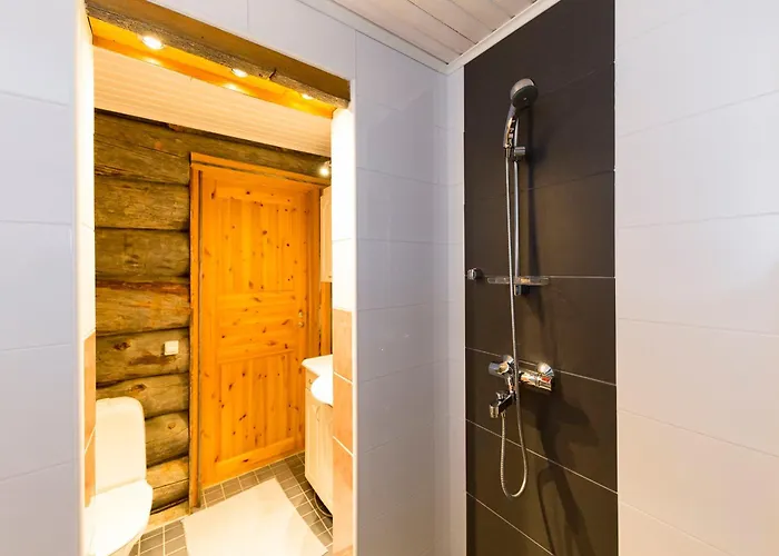 Ahmanpesae Visit Levi