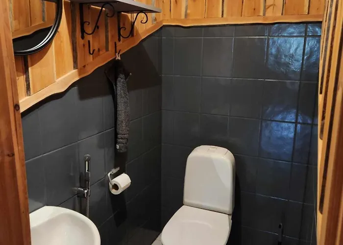 Ahmanpesae Visit * Levi